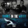 Lul DreDay - Sharks in the Water (feat. #Dl4l) - Single